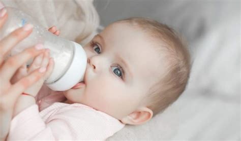 Image result for Build a Bebe Clean