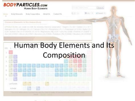 Image result for Human Body Elements