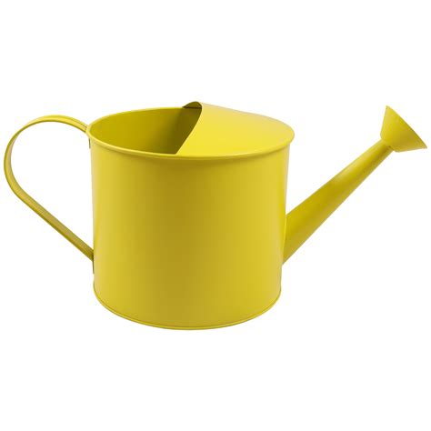 August Grove® 7X15" Watering Can & Reviews | Wayfair