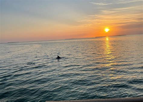 Islamorada Private Sunset Cruise 2025 - Viator