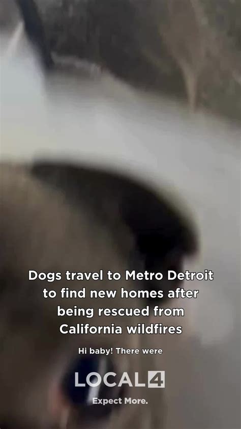 Local 4 News Detroit | Text messages between Jarvis Butts and Na’Ziyah Harris were read in court ...