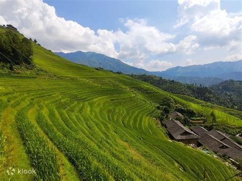Yangshuo Private Half-Day Tour to Tea Plantation and Xianggong Hill ...