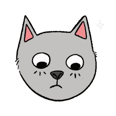 Image result for Mern Stack Developer GIF