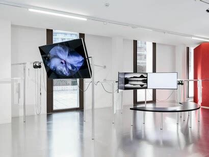 Civa. Contemporary immersive virtual art | Meer