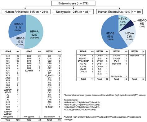 Molecular Epidemiology of Human Rhinoviruses and Enteroviruses ...