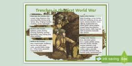 3D Model: First World War - Trench