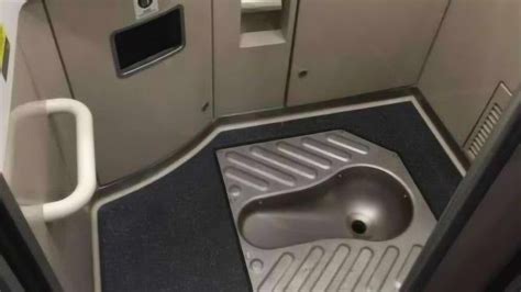 飞机厕所的粪便排怎么处理的？是直接排空中了吗？_进行_排泄物_系统