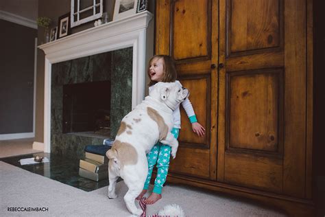 The Heartwarming Friendship Of A Little Girl And Her English Bulldog ...