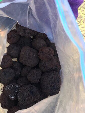 Truffles of Tasmania - Deloraine | Tripadvisor
