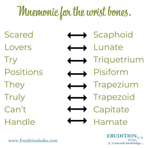 Carpal Bone Mnemonic