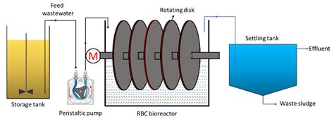 Effect of Operating Parameters and Energy Expenditure on the Biological ...