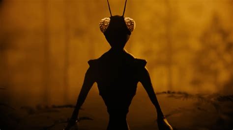 The insect was 7 feet tall - and then it vanished