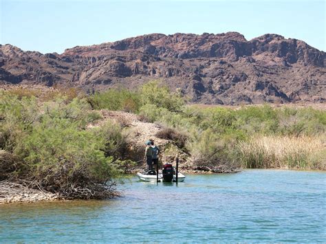 Lake Havasu Fishing Spots Fishing Mesquite Bay In Lake Havasu Along W