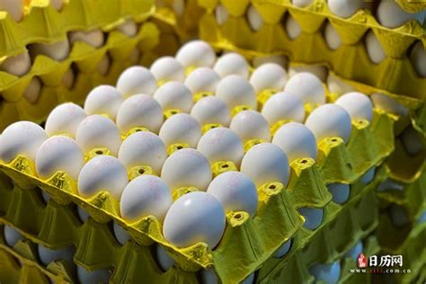 春分立蛋的民间故事 春分为什么要立鸡蛋 - 天气网