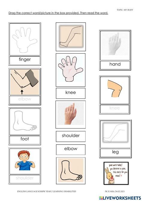 Learning Disability Exercises 的图像结果