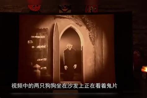 香港的一部老鬼片,道长在驱鬼之前用香在手上画卍字,里面的妖怪是肚子里的蝙蝠-