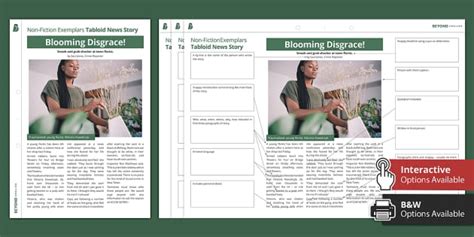 Newspaper Article Example | KS3 Non-Fiction Texts | Beyond