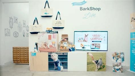 Pop-Up Shop Ideas: 15 Examples of Successful Shops (2024) - Shopify India
