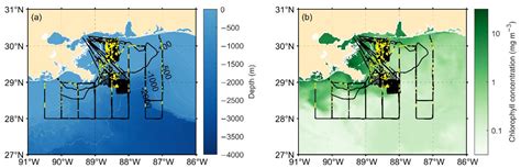 Characteristics and Formation Conditions of Thin Phytoplankton Layers ...