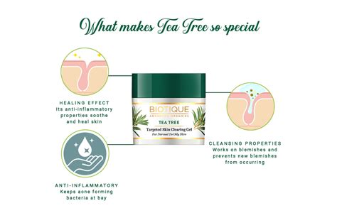 Biotique Tea Tree Targeted Skin Clearing Gel for Normal to Oily Skin ...