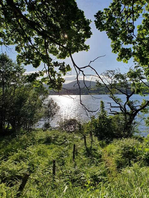 CROSS DORMONT CAMPING & CARAVANS (Howtown) - Campground Reviews ...