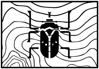 96 Insect Watching Coloring Pages worksheet by Swati Sharma