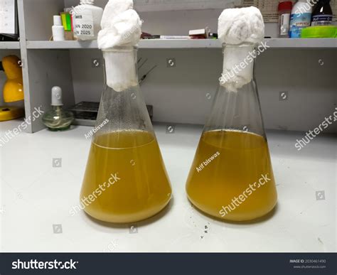 Flask 的图像结果