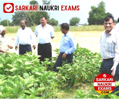 CSA University Driver Recruitment 2024 | Last Date: 15 April Apply ...