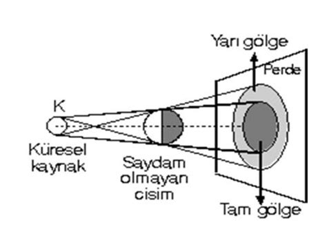 fenciyim.com