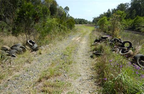 Illegal dumping and littering - Kyogle Council