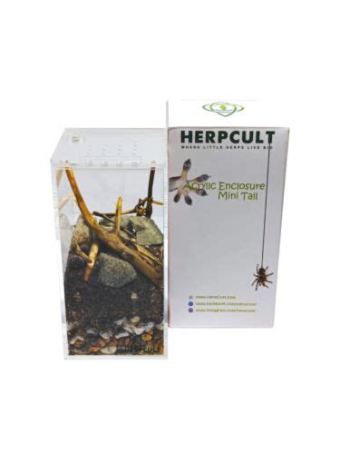 Buy Herpcult Acrylic Reptile Terrarium Gecko Spider Vivarium Enclosure ...