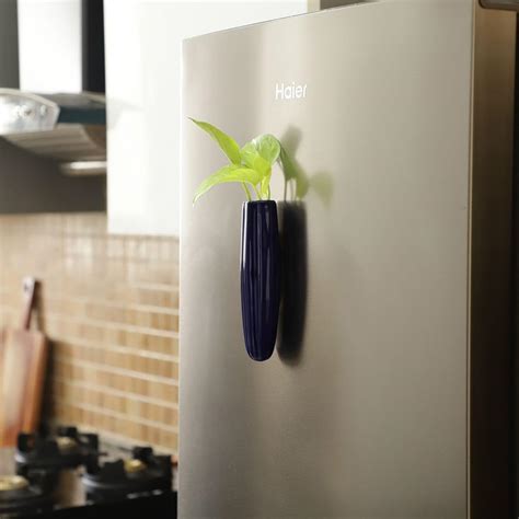 VarEesha Hand-Made GreenDoor Black Oval Ceramic Magnetic Planter for ...