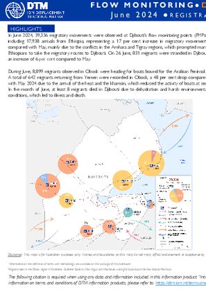 Djibouti — Flow Monitoring Dashboard (June 2024) | Displacement ...