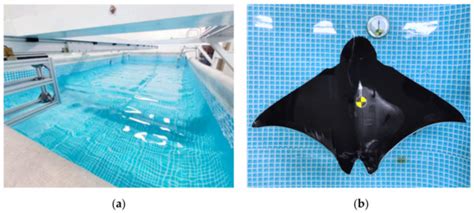 Design and Experimental Research on a Bionic Robot Fish with Tri ...