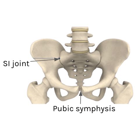 Pubic Symphysis Pain