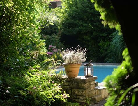 Image result for Latham Pool Java