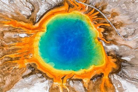Giant Viruses Unearthed: Unveiling the Secrets of Yellowstone's Ancient ...