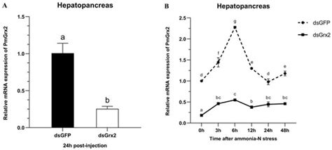 Antioxidants | Special Issue : Oxidative Stress in Aquatic Organisms