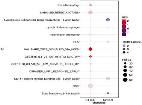 Two Different Immune Profiles Are Identified in Sentinel Lymph Nodes of ...