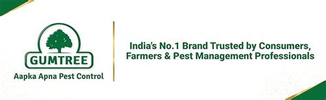 Gumtree Fly Trapp Jar Mini | Reusable, Eco-Friendly Non-Pesticide Fly ...