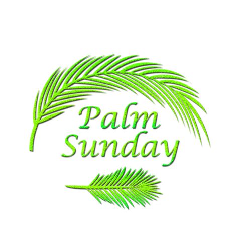 Diseño De Domingo De Ramos 28 De Marzo PNG , Cristiano, Palma, Domingo ...