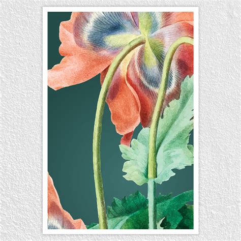 Poppy Stem Flower Poster - Botanical Elegance for Your Walls