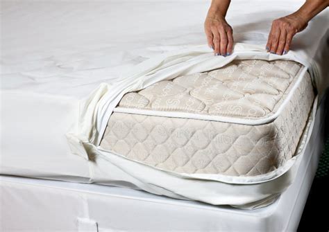 Bed Bug Mattress