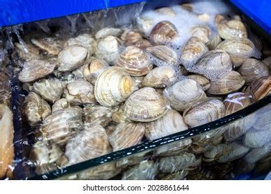 Image result for Alive Shellfish