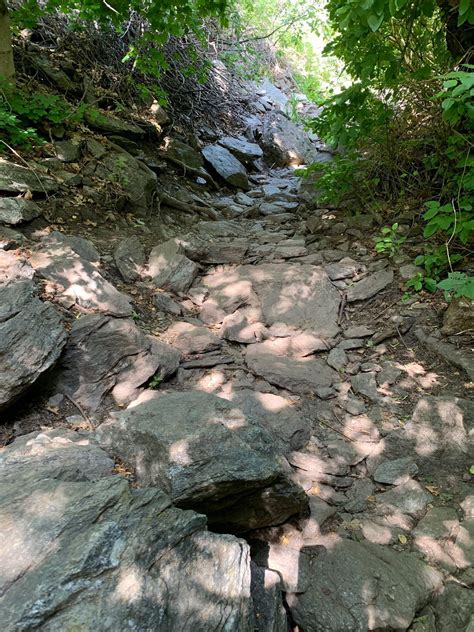 Waterfall Canyon Trail via Ogden Park - Utah | AllTrails