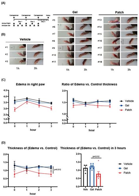 Pharmaceutics | Special Issue : Transdermal Delivery of Low-Molecular ...