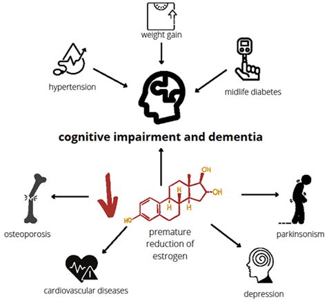Cognitive Decline in Early and Premature Menopause