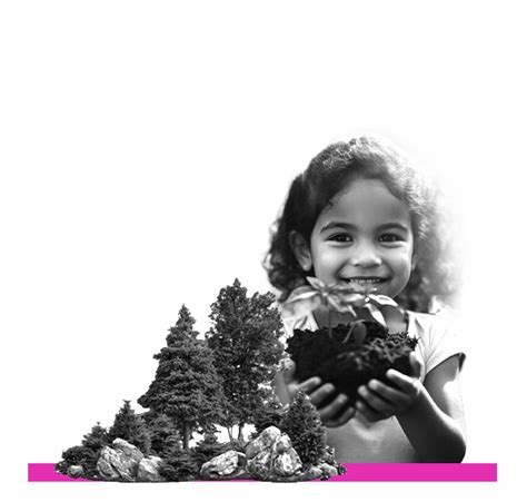 Max Social Innovations Foundation