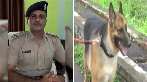 Ahmedabad Cop's Death Linked To 'Rabies' After Nail Scratch From A ...