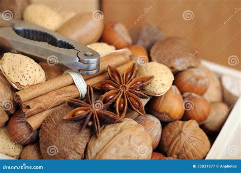 Brazil nuts in shells stock image. Image of festive, anise - 35031577
